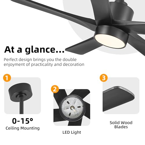 Image of WINGBO 48 Inch DC Ceiling Fan with Lights and Remote Control, 5 Carved Solid Wood Blades, 6-Speed Noiseless Reversible DC Motor, Indoor Ceiling Fan in Matte Black Finish with Black Blades