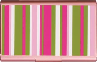 Wellspring Flip Case, Stacy Stripe (2405)