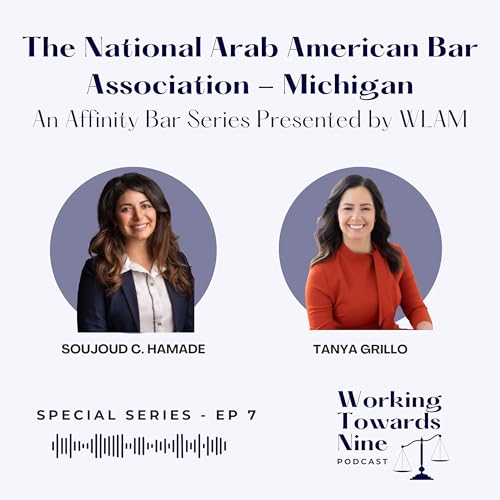 Affinity Bar Series: National Arab American Bar Association-MI