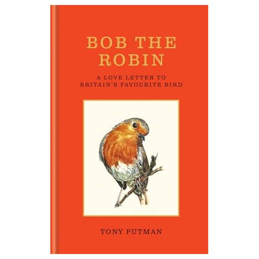 Bob the Robin: A love letter to Britain’s favourite bird