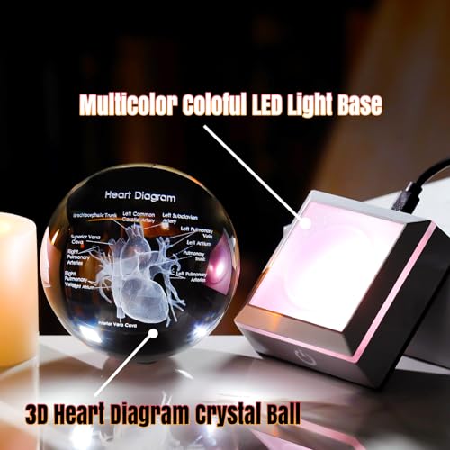 3D Human Heart 3.15 in. Crystal Ball Gifts for Men Cousin, Glass Sphere Etched Anatomical Heart Model Keepsake for Surgeon Doctor Cardiologist with LED Light Base