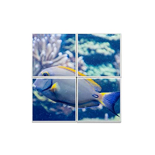 Carreaux céramique décoratifs poisson chirurgien exotique vie animale mural 15,2 cm