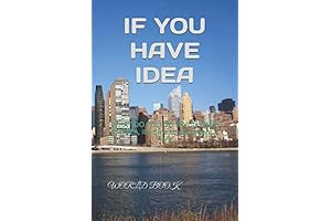 IF YOU HAVE IDEA: WHAT DO YOU DO IF YOU HAVE AN...
