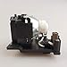 CTLAMP DT01091 Replacement Projector Lamp Bulb with Housing Compatible with Hitachi CP-AW100N CP-D10 CP-DW10N ED-AW100N ED-AW110N ED-D10N ED-D11N
