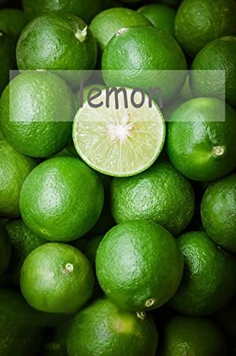 Zitronenbaum Anbauen -Fotos Und -Bildmaterial In Hoher Auflösung - Foto 4