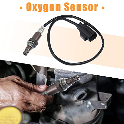 Sensor de Oxígeno Reposición X AUTOHAUX para Volvo miniatura 2