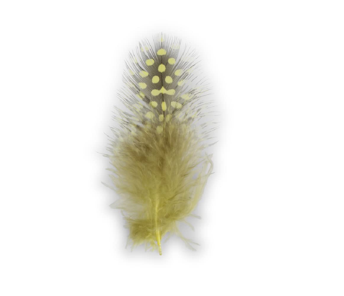 Easter Carnival Nest with Feathers Yellow-Green with Dots Pack of 100 Height x Width Approx. 12 x 2.5 cm Natural Material Dyed