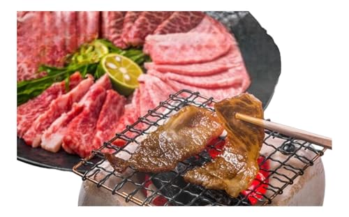 博多和牛 焼肉 セット 500g A4〜A5 配送不可:離島 バーベキュー お肉 牛肉 バラ(カルビ) ロース