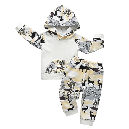 Image of Toddler Baby Boys Cartoon Little Bear Long Sleeve Hoodie Tops Pants Outfit Clothes Set