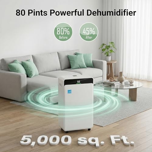 Commercial Grade Dehumidifier for Basements