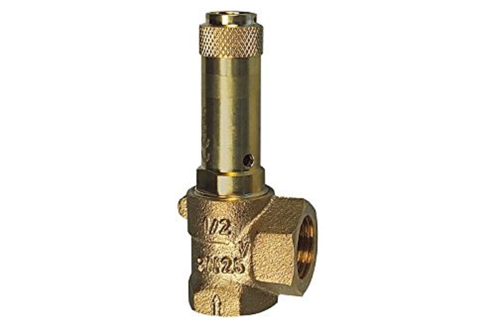RIEGLER 105592-221.05-6,0 Eck-Sicherheitsventil, Flüssigkeiten, G 1, Ansprechdruck 6 bar, 1Stk