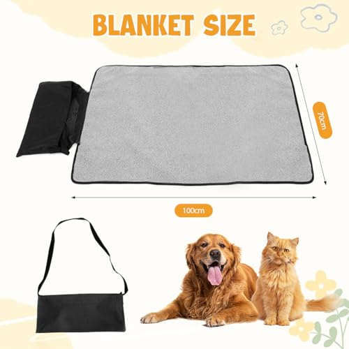 Hundedecke für Unterwegs, Faltbare Wasserdichte Haustier Decke Camping Decke Hund Katze Mat Wärmende Decke, Hundebett Hundematte für Outdoor Innen Große Reisedecke für Haustier, 100 x 70 cm (Schwarz)