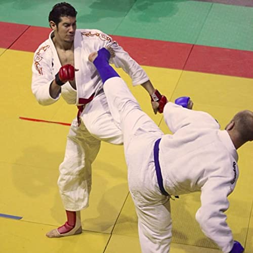 Vincent Parisi, entre ju-jitsu et famille