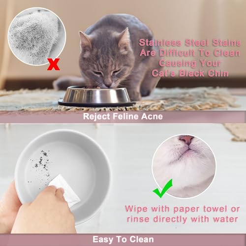 Dog Bowls for Small Dogs, Cat Dishes for Indoor Cats, Raised Tilted Ceramic Set of 2 with Bamboo Stand and Non Slip Silicone Mat - Elevated for Food and Water, Neck Care Feeding Bowl 650ml - Image 3