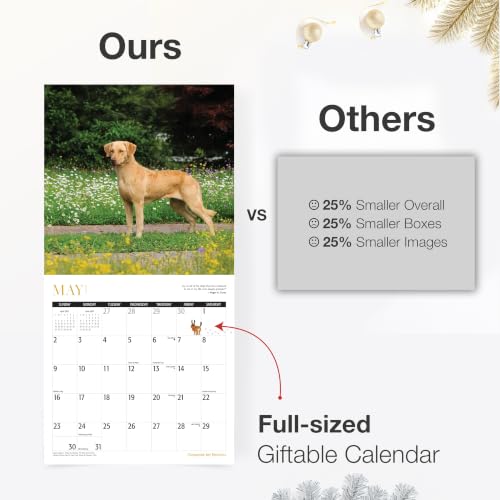 Image of RED EMBER Chesapeake Bay Retrievers Chessies 2027 Wall Calendar 12 Month