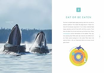 Library Binding Frozen Realms Book