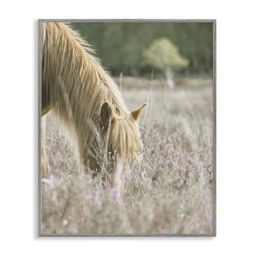 Peaceful Palomino Horse Meadow, 11 x 14 Inch Framed Giclée Print