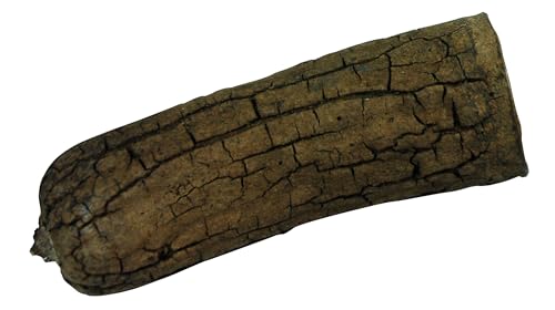 Lucky Reptile Nature`s Treasure - Deko Box