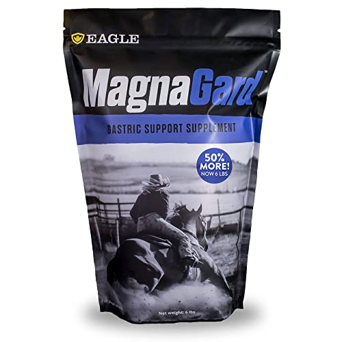 MagnaGard Gastric Support Supplement for Horses | Relieves Ulcers, Calming ...