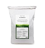 TerraDomi 25kg natürlicher Algenkalk für 600m² I 100% echter Algenkalk zur Stärkung der Widerstandsfähigkeit von Buchsbäumen und anderen Pflanzen I Beugt Befall von Buchsbäumzünsler und Pilzen vor