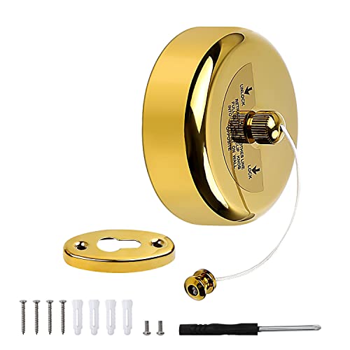 Corde à Linge Rétractable - LUSHAZER 3M Longue de Style Hôtel avec Outil D'installation, Plaque Fixation Or Camping pour la Maison (Charge Portante10 KG), 91.5mm, (BXGLYS-1) Cover