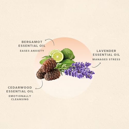 Image of Arezou Relax for Deep relaxation, Melting away stress and Inviting Peace| Aromatherapy Therapeutic Oil, Natural Ingredients For Relaxation (2ml)