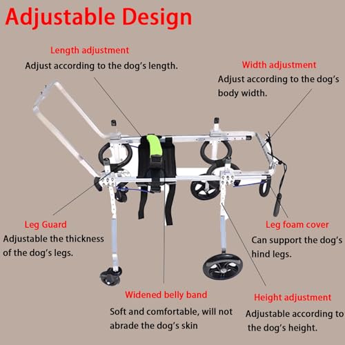 Chariot de rééducation pour chiens à 4 roues : confort optimal et soutien complet des pattes - 4