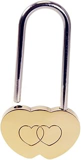 ARTIBETTER Love Wedding Things Boyfriend Stump Planter Heart Shaped Lock Metal Mixing Bowls Lock for Couple Black Fruit Plate Push Bar for Tricycle Brass Lock Wish Lock Souvenir Heart Lock