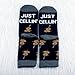 BDPWSS Cello Player Gift Just Cellin’ Novelty Socks Cellist Musician Gift Orchestra Cello Lover Gifts Music Themed Socks (Just cellin Sock)