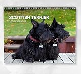 Boyce Publishing Ltd