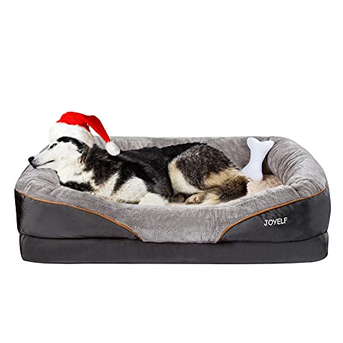 Los 11 Mejores Sofás para Perros Grandes en diciembre de 2022