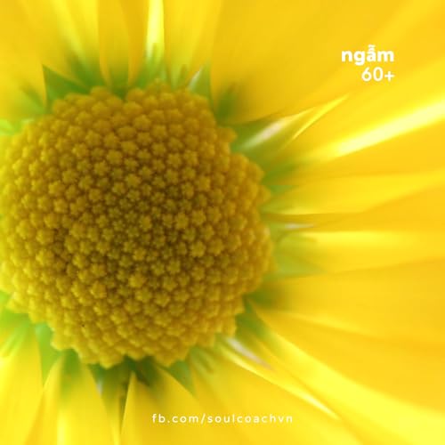 B&agrave;i h&aacute;t AMOR (C&Ograve;N M&Atilde;I Y&Ecirc;U THƯƠNG) - BLISS