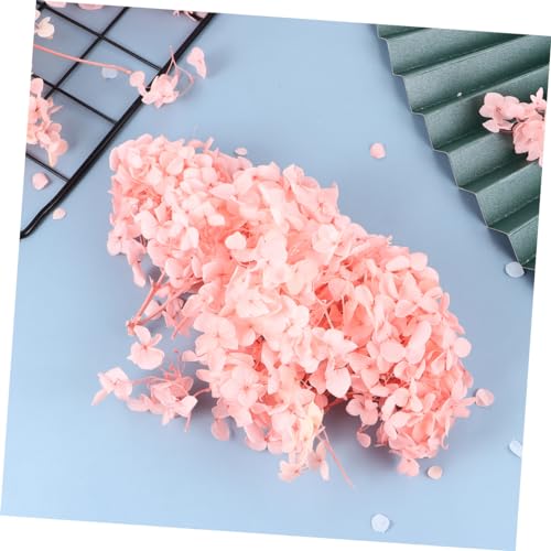 Pétalos secos naturales de hortensia rosa ABOOFAN miniatura 7
