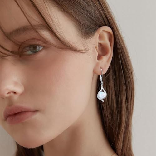 S925 Sterling Silver Opal with Genuine Diamond Earrings for Women October Birthstone Leverback Dangle Earring Birthday Valentine's Day Christmas Gift for Her3