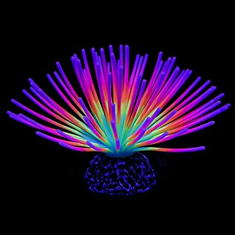 Uniclife Rainbow Sea Urchin Ball Cover