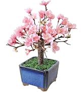Amazon｜山久 桜 造花 シルクフラワー 桜の大枝 約110cm さくら CT触媒