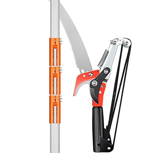 ���}�̂����� ���}�؂�o�T�~ ���}�؂�̂����� ���}�� ���}���� 2/3�i�L�k�����}�؂��� �y�� �L�k �͂��� �K�[�f�j���O�p�i �}�� �n�T�~ ���| (�l�i�K/1.6-6M,A)