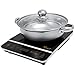 Rosewill 1800 Watt Induction Cooker Cooktop , Included 10