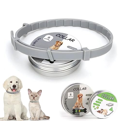 tFU[XgA m~ 悯 ybgp 8 p Lp ybg m~E_j΍pi ̂ݎ 悯  Ꮬ΍ (STCY, O[)