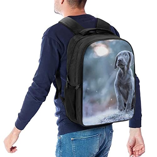 Mochila escolar cómoda de delfín que alivia la espalda infantil 5