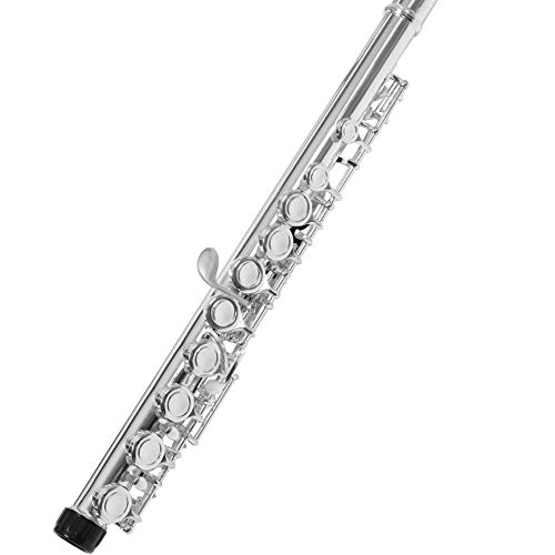 Closed Hole C Flute Nickel Silver Plated Student Beginners Flute With Case, Tuning Rod And Screwdriver Cleaning Cloth,Joint Grease And Gloves #TOP2