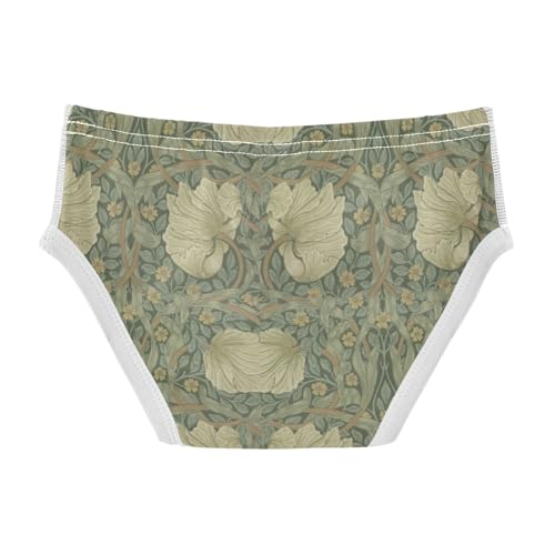 Boys' Exclusive Briefs Toddler Underwear 95% Combed Cotton Boxerbriefs 2T Floral Pattern 592