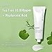 Nightingale TEATAMIN Cream, Redness Relief for face, Moisturizer Face Cream, Tea Tree + Vitamin + AHA, BHA, PHA, Soothing For Acne-prone and Sensitive Skin, Hypoallergenic, Korean Skin Care