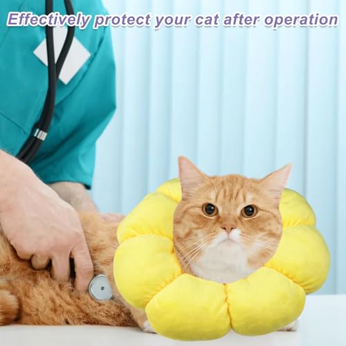 Newpop Halskrause Katze, Leckschutz Einstellbarer Katzenkragen, Halskrausen Katzen, Kragen Halskragen Katze, Schutzkragen Weich, Wiederherstellung Halsband, Klein Hund Nach Operation Katzenhalsband