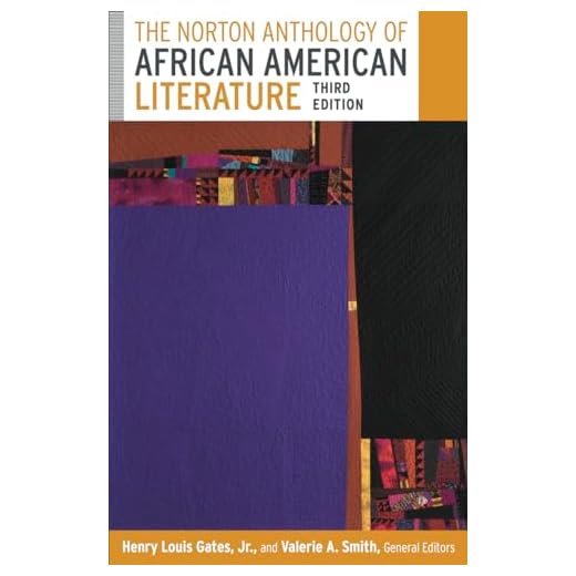 The Norton Anthology of African American Literature (Third Edition) (Vol. Two Volume Set)