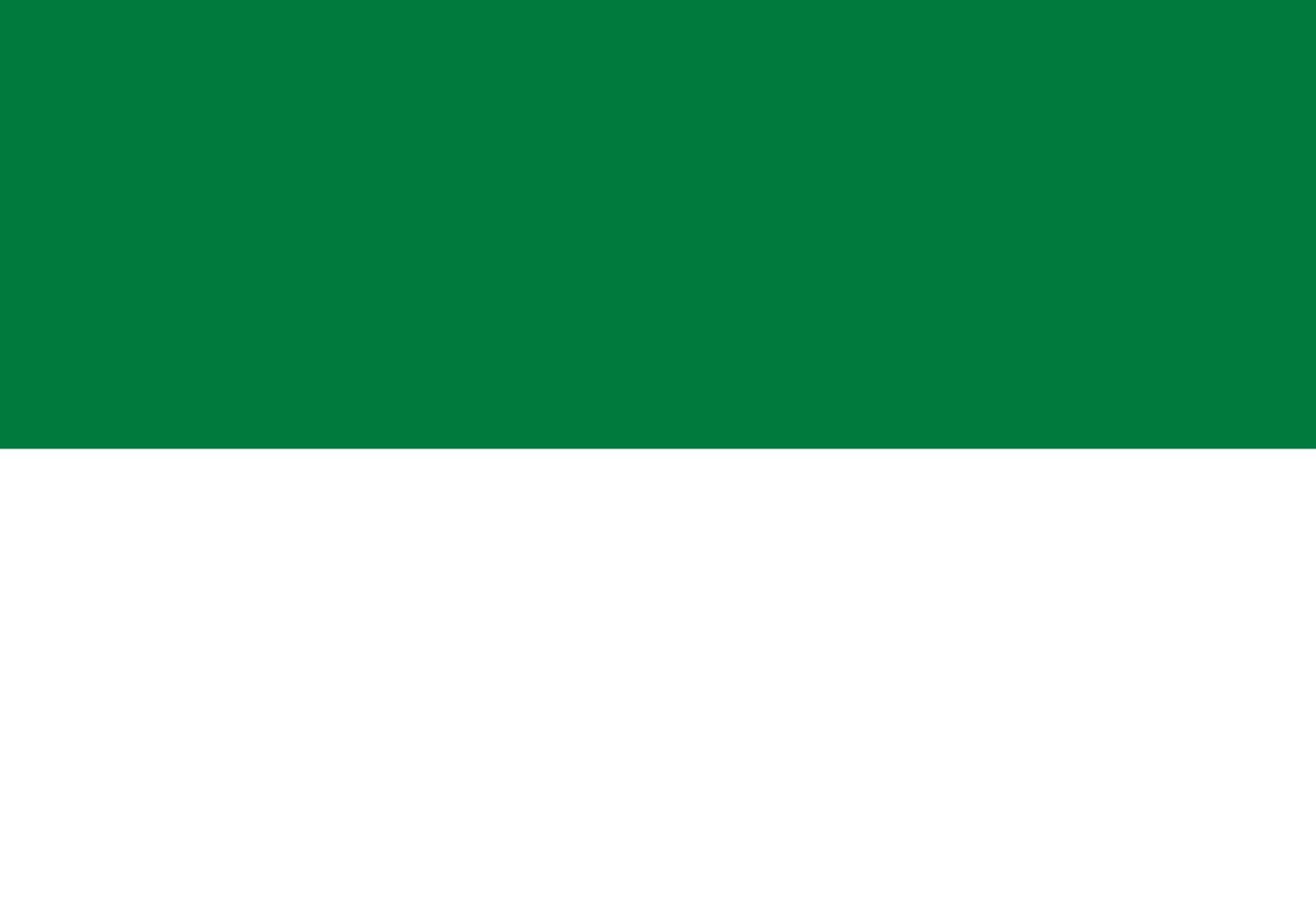 Drapeau María Caballero de province grand modèle pour défilé citoyen
