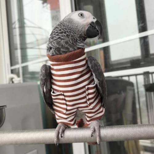 Fantasia de aniversário de festa de Natal de pano de pássaro para arara cacatua africana conure calo