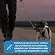 Testnote: Sehr gut - Hundeleine reflektierend I 2m, verstellbar, wetterfest & reißfest bis 250 kg I Paracord Führleine, Umhängeleine I kleine - große Hunde