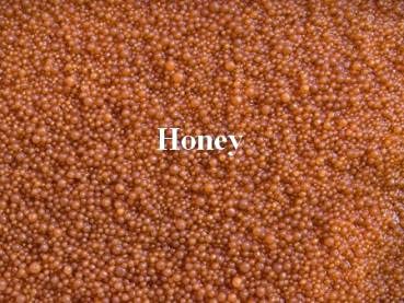 Axogravel Honey 5Kg, Spezialbodengrund für Axolotl Cover
