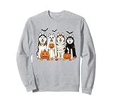Lindos Perros Husky Disfraces de Halloween Truco o Trato Sudadera